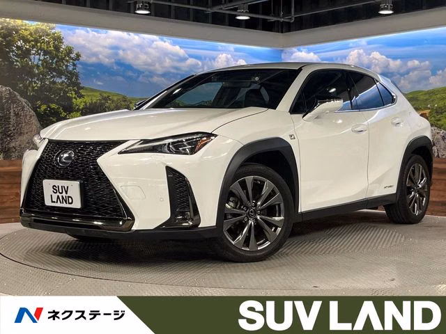 LEXUS UX250H