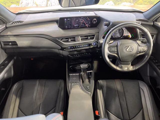 LEXUS UX250H