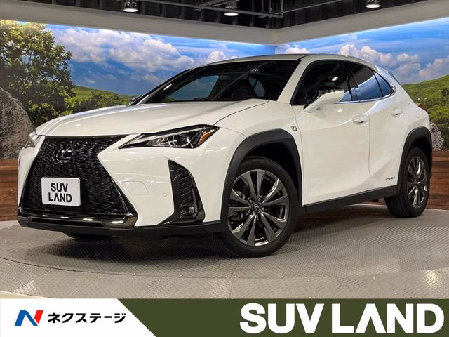 LEXUS UX250H