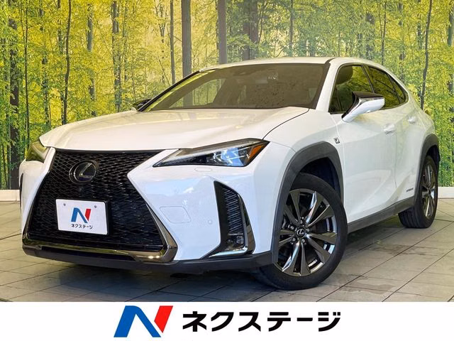 LEXUS UX250H