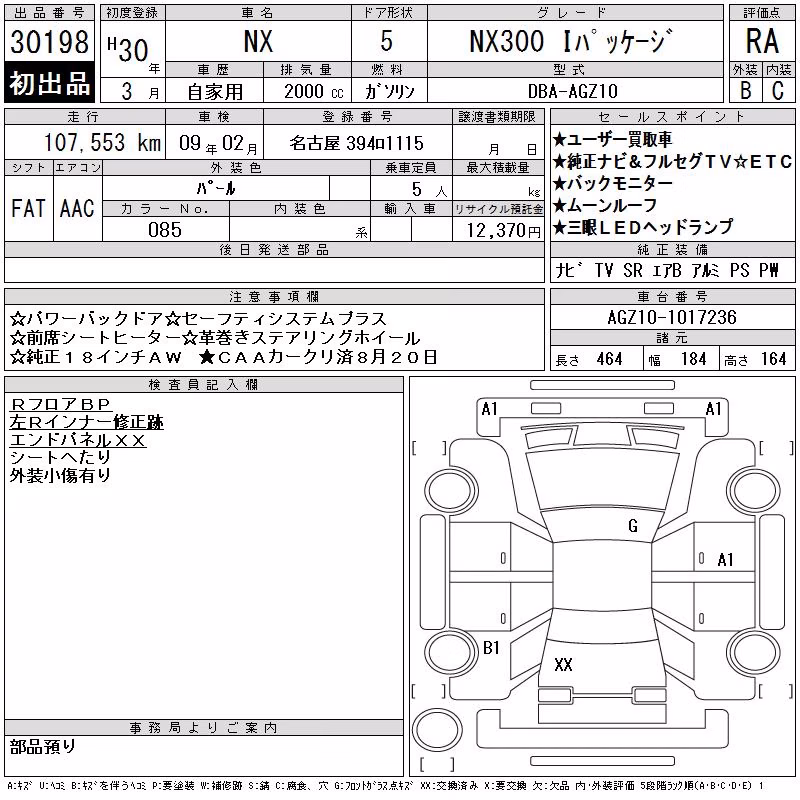LEXUS NX300