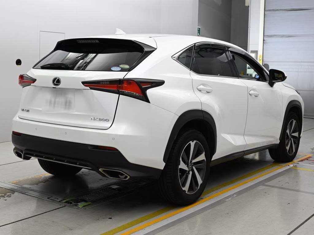 LEXUS NX300