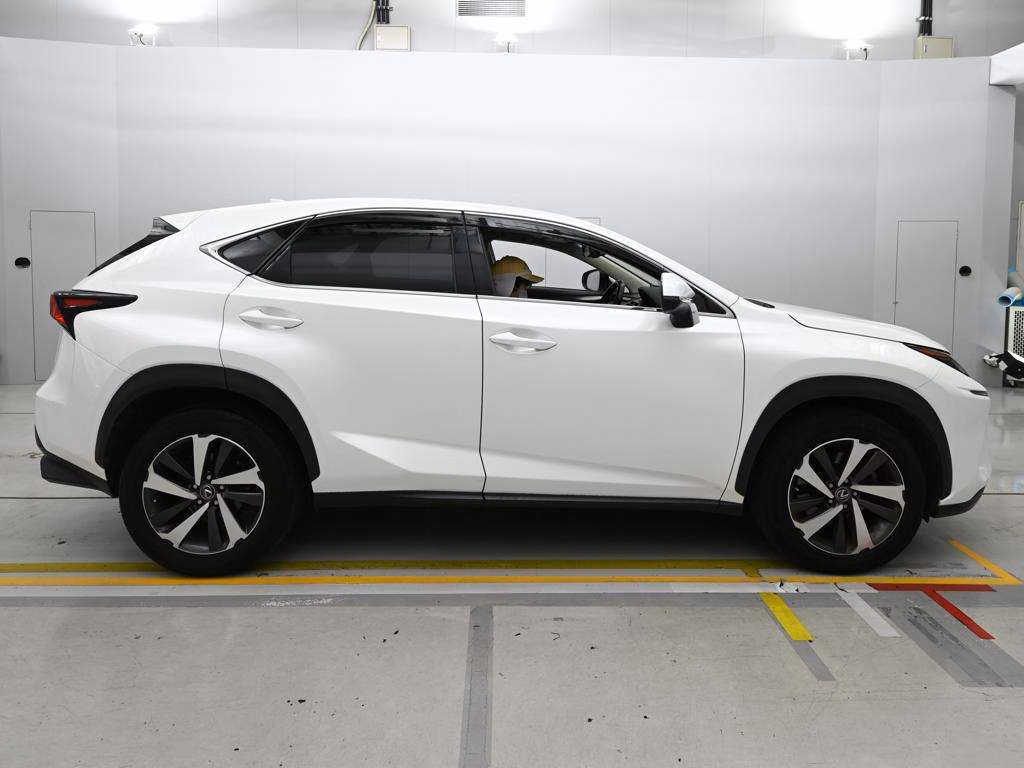 LEXUS NX300