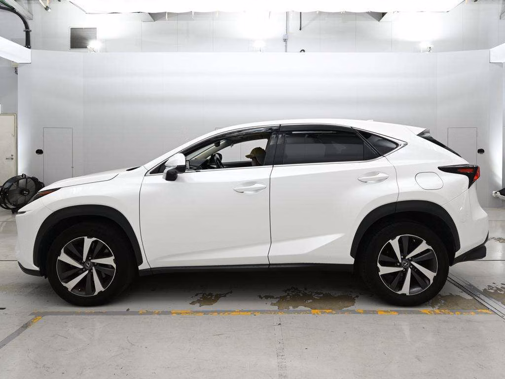 LEXUS NX300