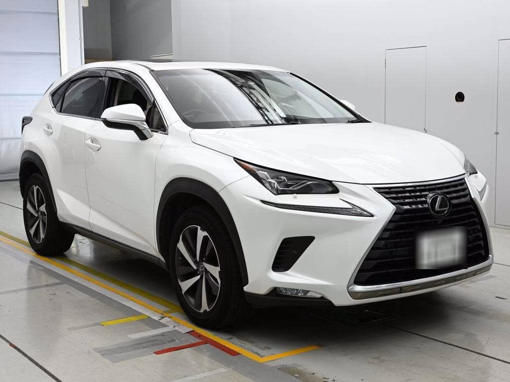 LEXUS NX300