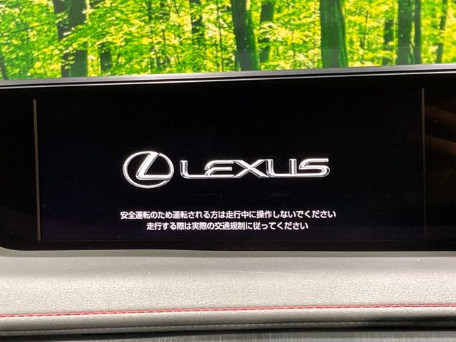 LEXUS UX250H