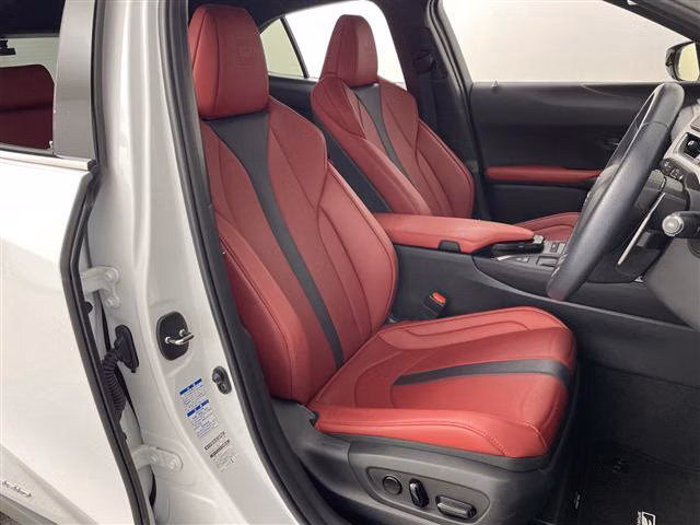 LEXUS UX250H