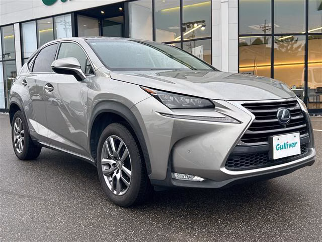 LEXUS NX300