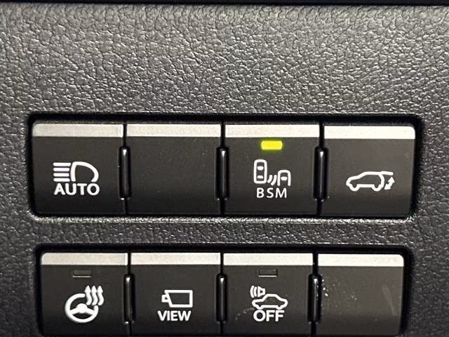 LEXUS NX300H