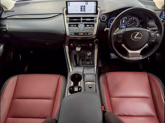 LEXUS NX300H