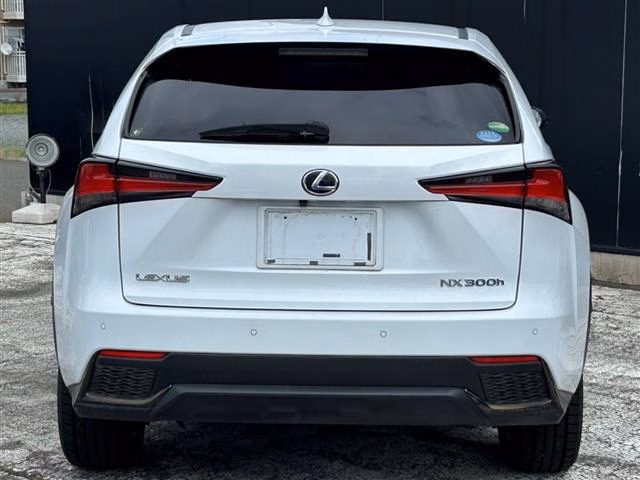 LEXUS NX300H