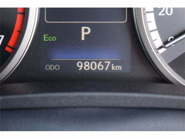 LEXUS NX300