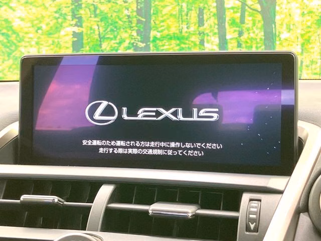 LEXUS NX300H