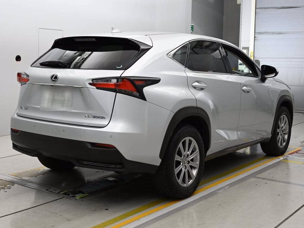 LEXUS NX300