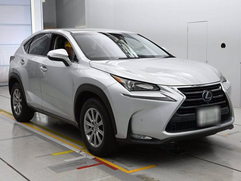 LEXUS NX300