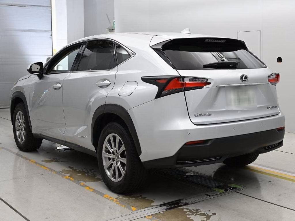 LEXUS NX300