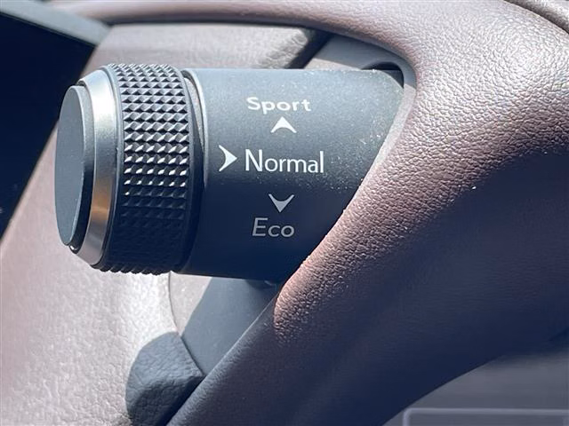 LEXUS ES300H