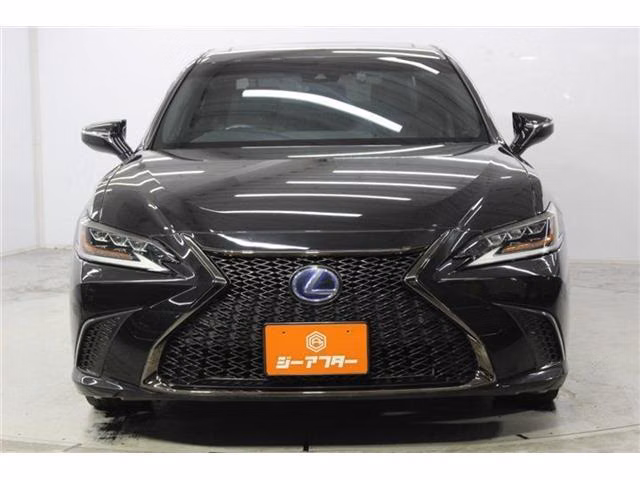 LEXUS ES300H