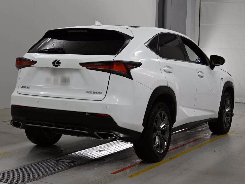 LEXUS NX300
