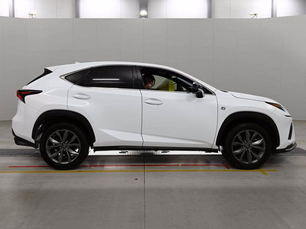 LEXUS NX300