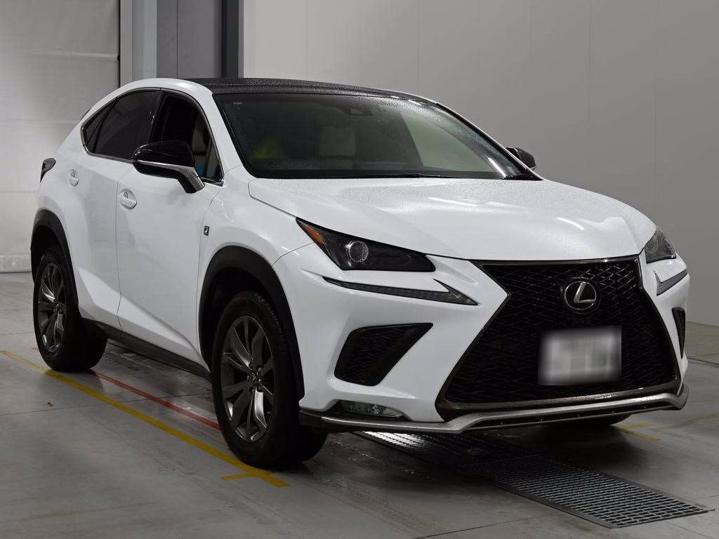 LEXUS NX300