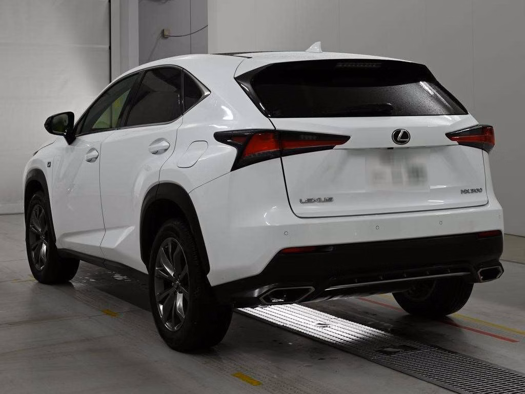 LEXUS NX300