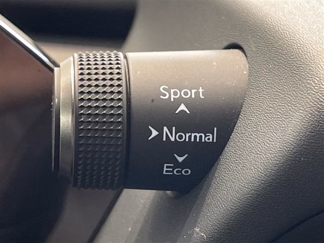 LEXUS UX250H