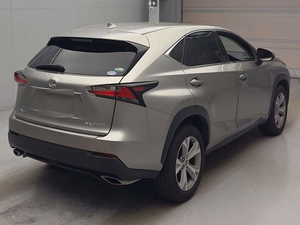 LEXUS NX300
