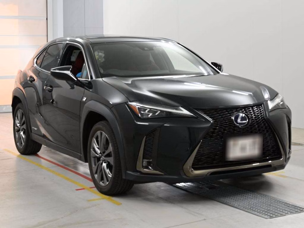 LEXUS UX250H