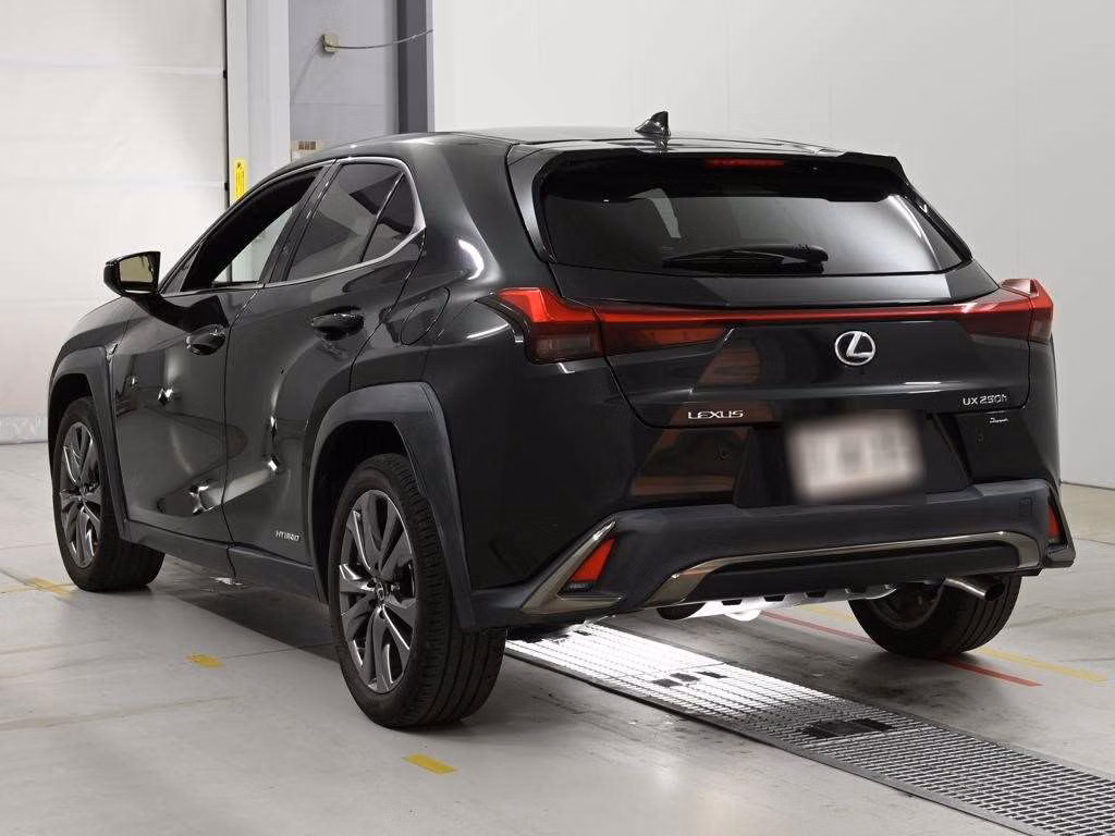 LEXUS UX250H