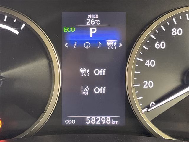 LEXUS NX300