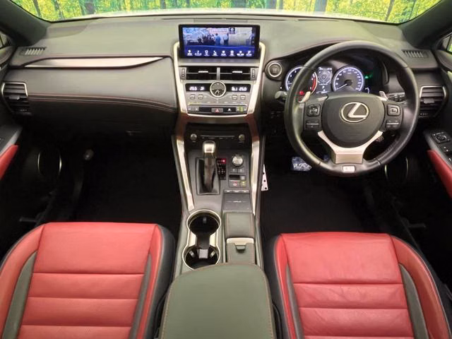 LEXUS NX300