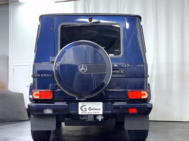 MERCEDES-BENZ G-CLASS