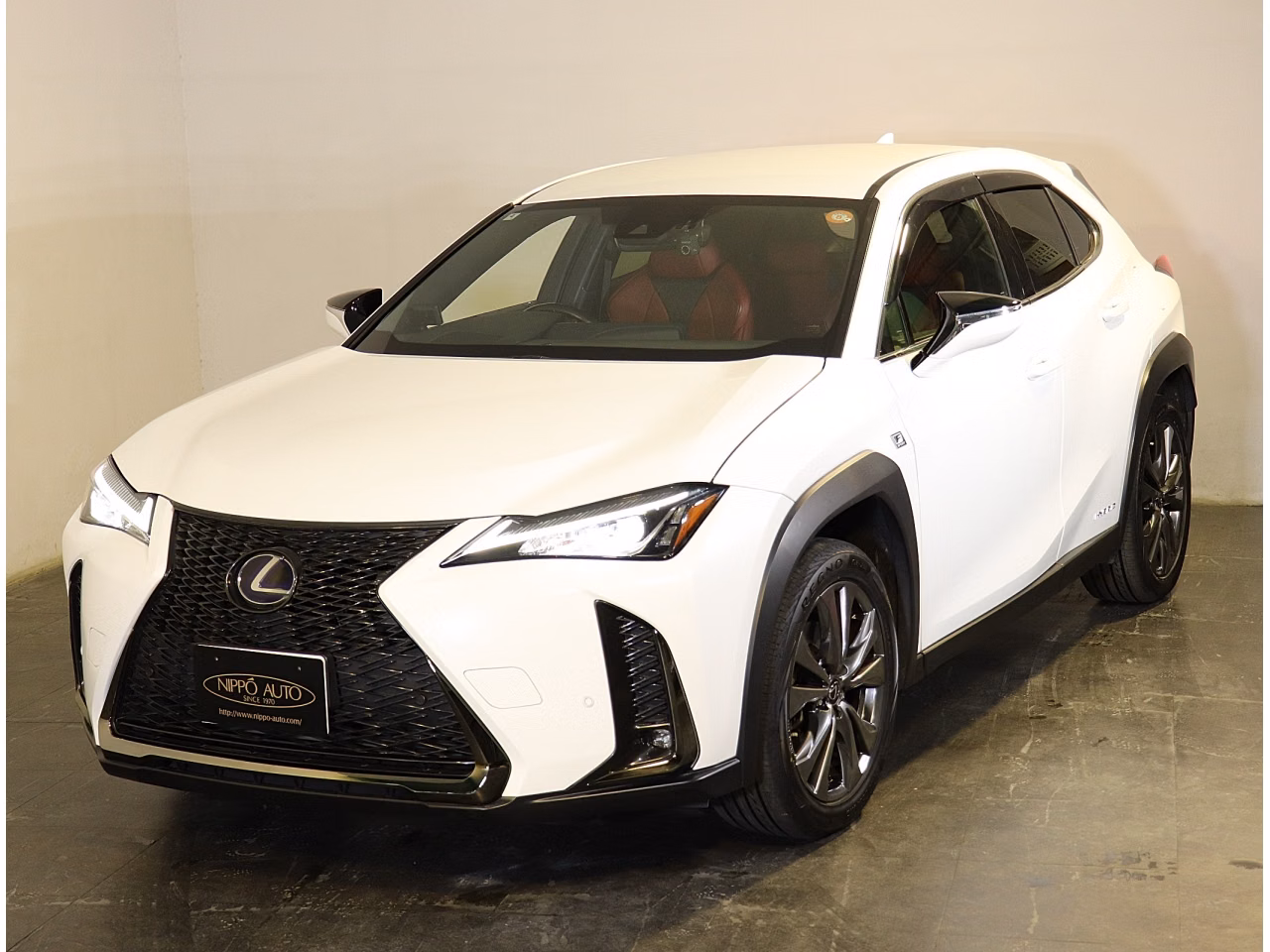 LEXUS UX250H