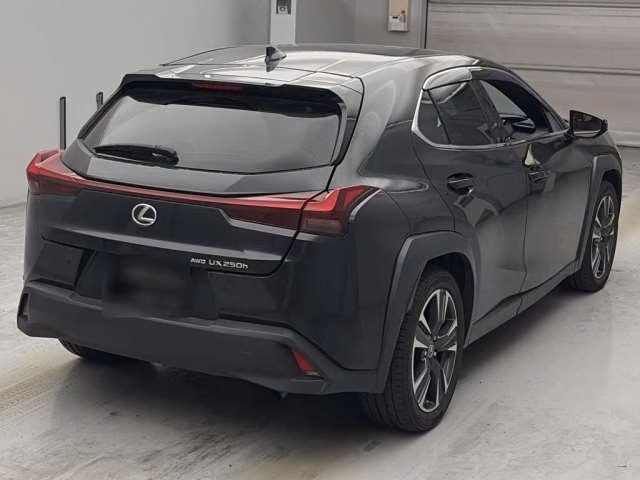 LEXUS UX250H