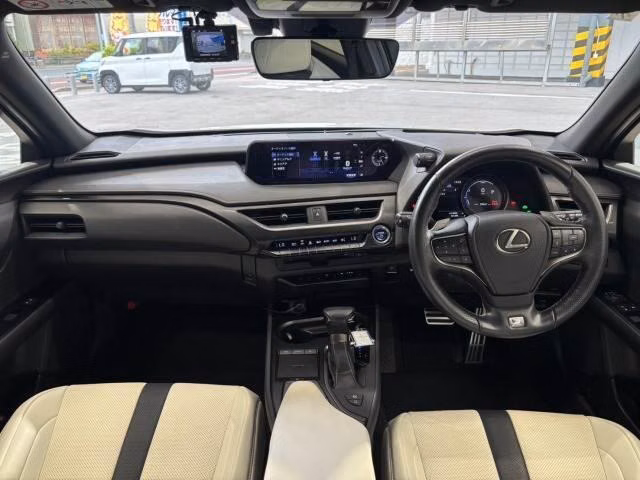 LEXUS UX250H