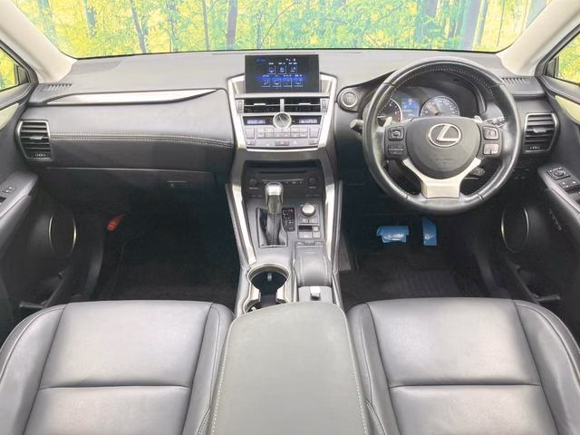 LEXUS NX200T