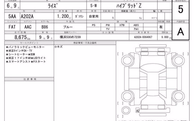 TOYOTA RAIZE