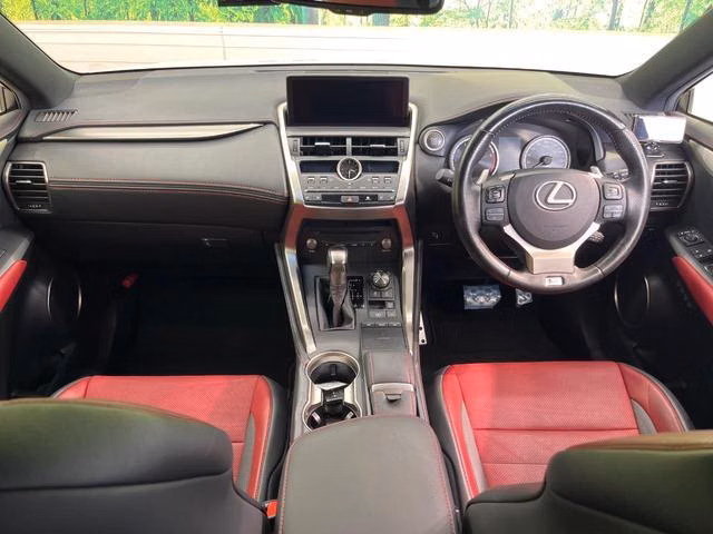 LEXUS NX300