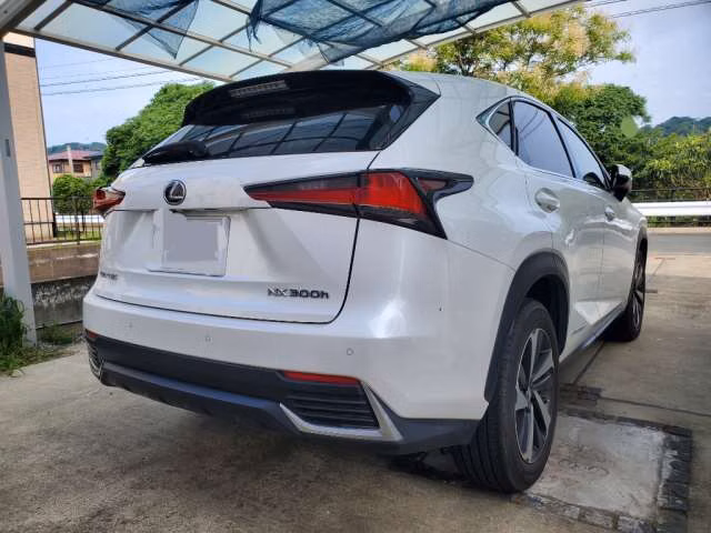 LEXUS NX300H