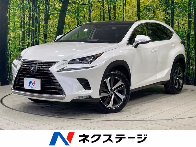 LEXUS NX300