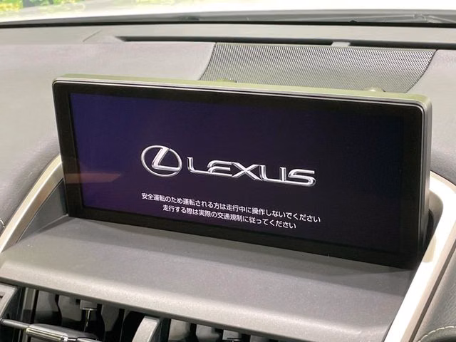LEXUS NX300
