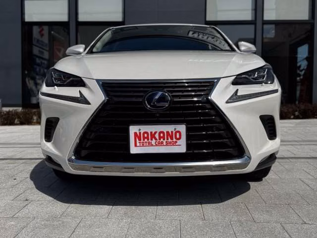 LEXUS NX300