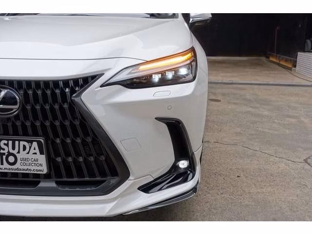 LEXUS NX450H+