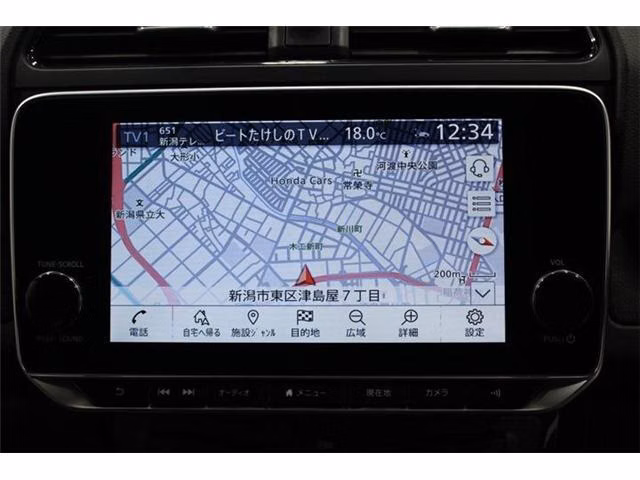 NISSAN LEAF