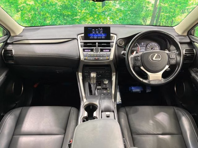 LEXUS NX200T