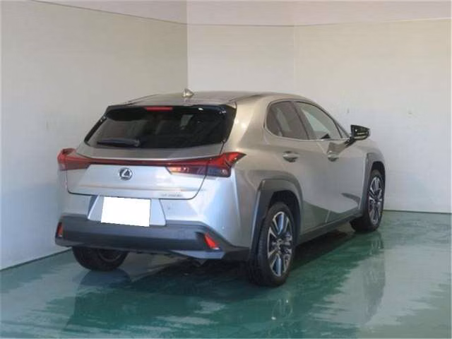 LEXUS UX250H
