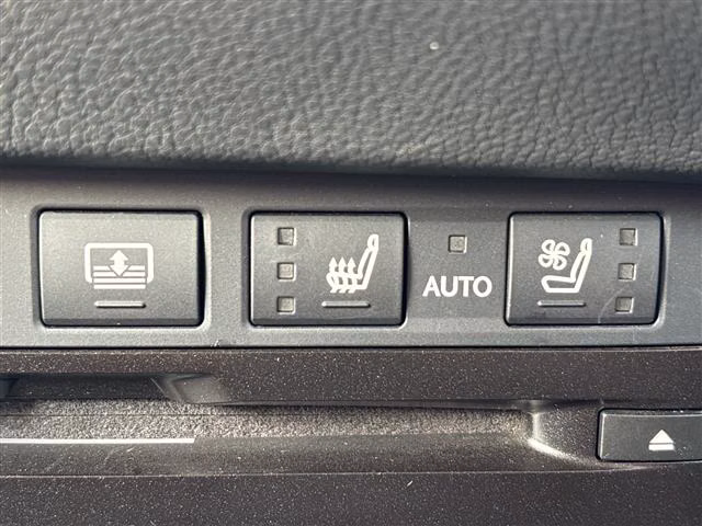 LEXUS ES300H