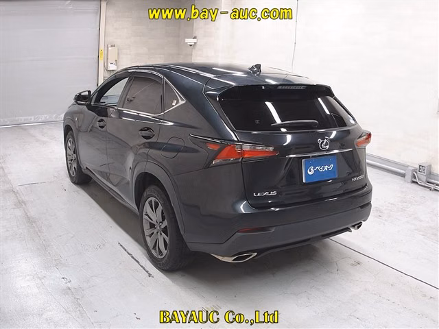 LEXUS NX300