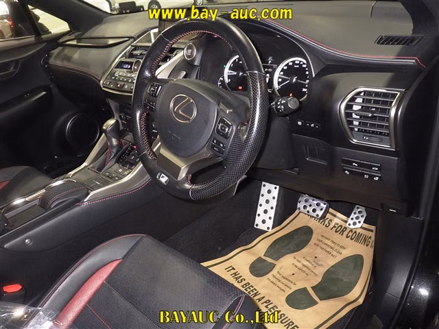 LEXUS NX300